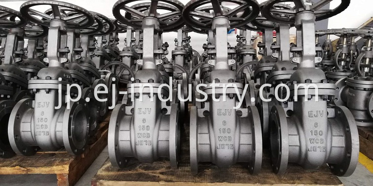 Ejv Gate Valves 1